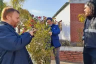 El aporte de citricultores brasileños para la eventual lucha contra el HLB