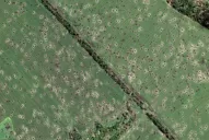 La guerra en Ucrania y los alimentos: ¿todo es culpa de Rusia?