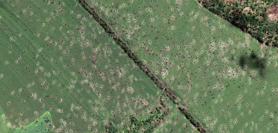 TIERRA ARRASADA. Cientos de miles de hectáreas de campos fueron destruidos por la guerra.  lu.usembassy.gov