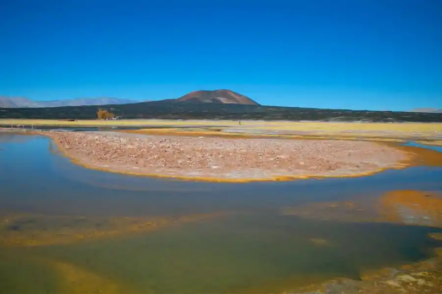 CARACHI PAMPA. Una de las tantas postales multicolores de la laguna y el volcán del mismo nombre. 