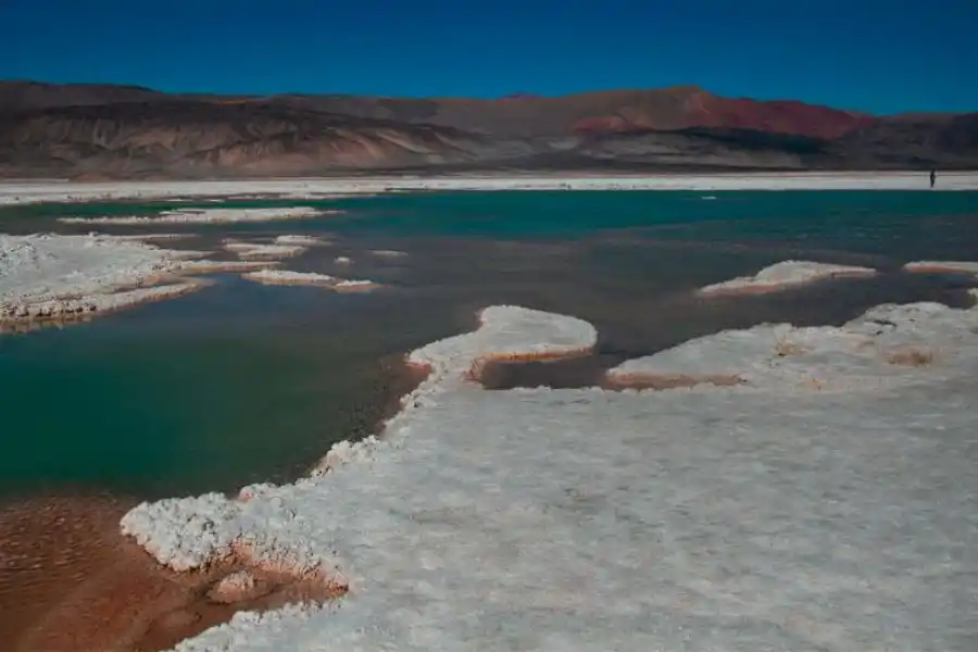 LAGUNA VERDE. Pozos de agua de color turquesa surgen entre los salares rodeados de montañas.