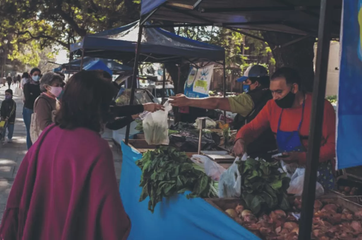 El Mercado en tu Barrio.