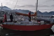 Video: un velero embistió a una ballena en el Canal de Beagle