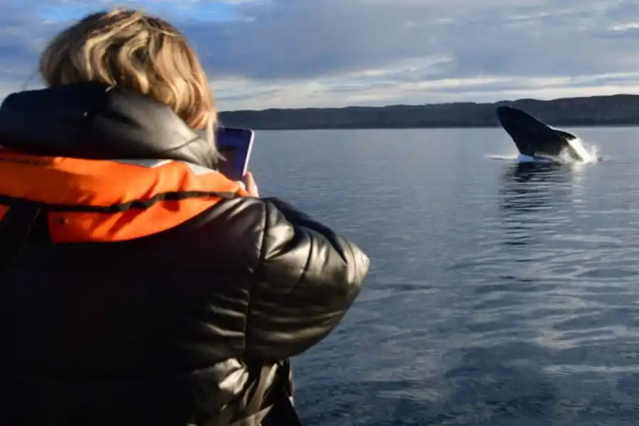 Oficializan el lanzamiento de PreViaje 3