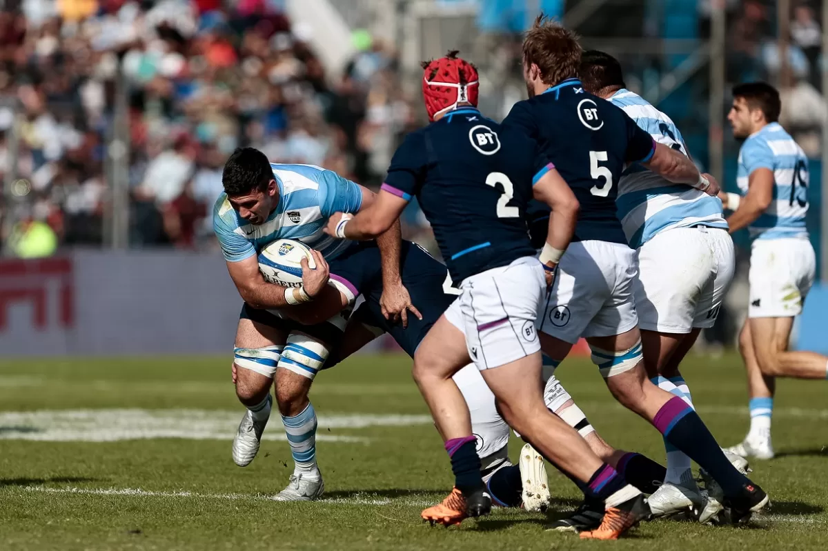 Foto de Twitter @LosPumas