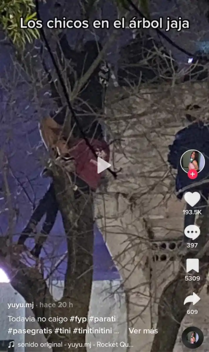 Los fans subidos en las ramas para ver el show.