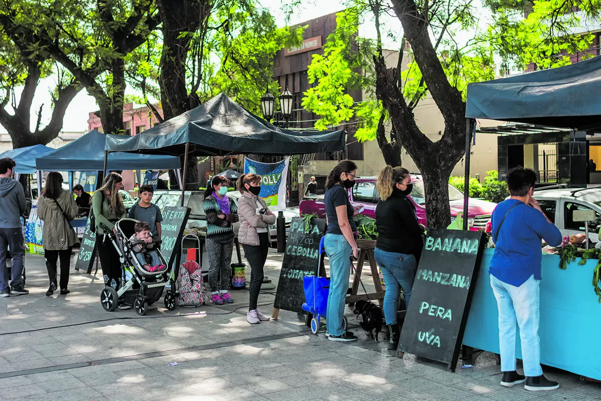 El Mercado en tu Barrio: dónde estarán los puestos itinerantes esta semana