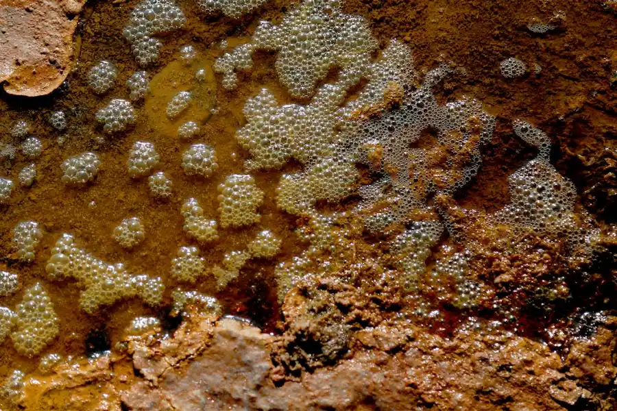 Estromatolitos produciendo oxígeno en las lagunas de la Puna