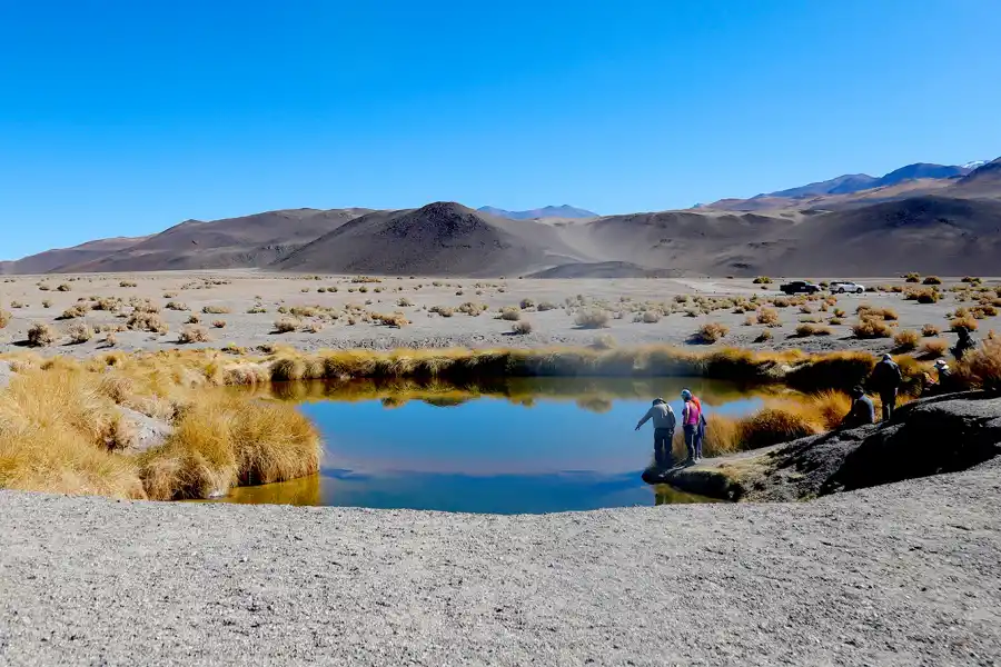 Ojos de Campo son una serie de doce depresiones que reciben agua subterranea de diferentes características