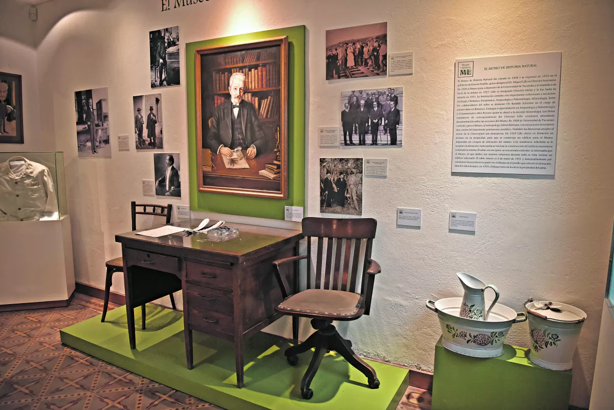 Lo que tenés que saber sobre el Museo Histórico Dr. Miguel Lillo y Jardín Botánico
