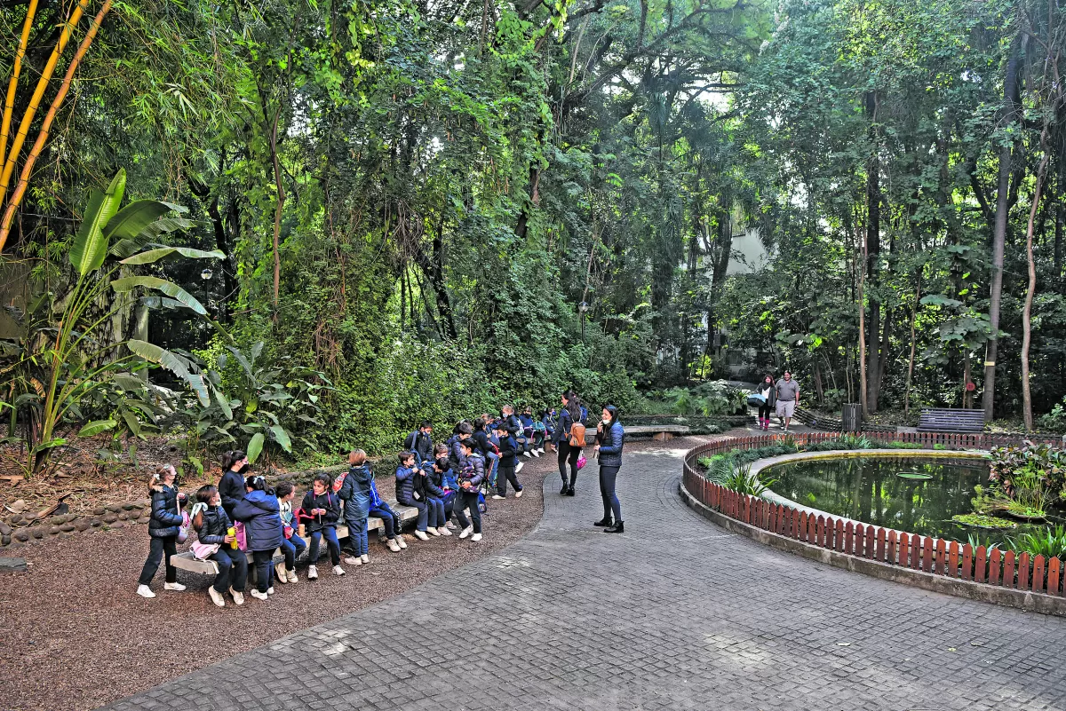 Lo que tenés que saber sobre el Museo Histórico Dr. Miguel Lillo y Jardín Botánico