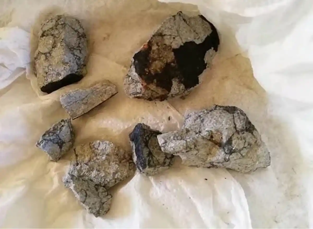 Fragmentos de meteoritos.