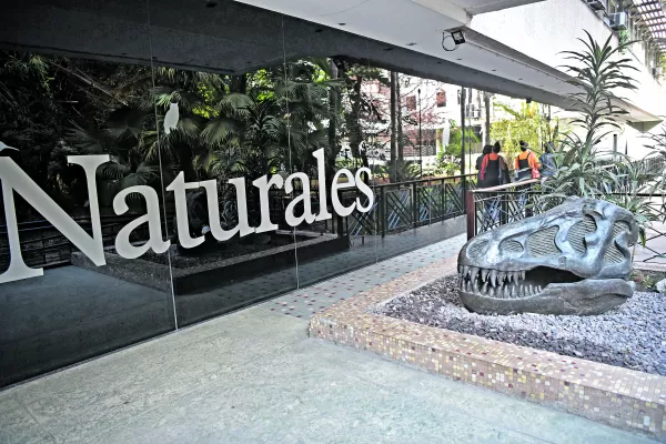 Lo que tenés que saber sobre el Museo Histórico Dr. Miguel Lillo y Jardín Botánico