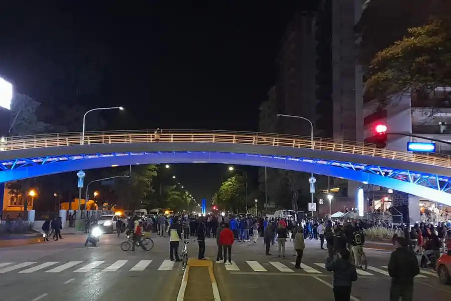 Quedó inaugurado el puente peatonal de avenida Mate de Luna