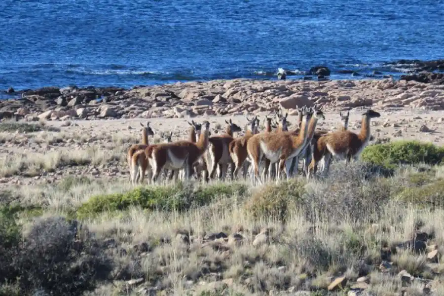 Vacaciones low cost por Argentina.