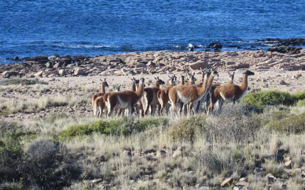 Vacaciones low cost por Argentina.