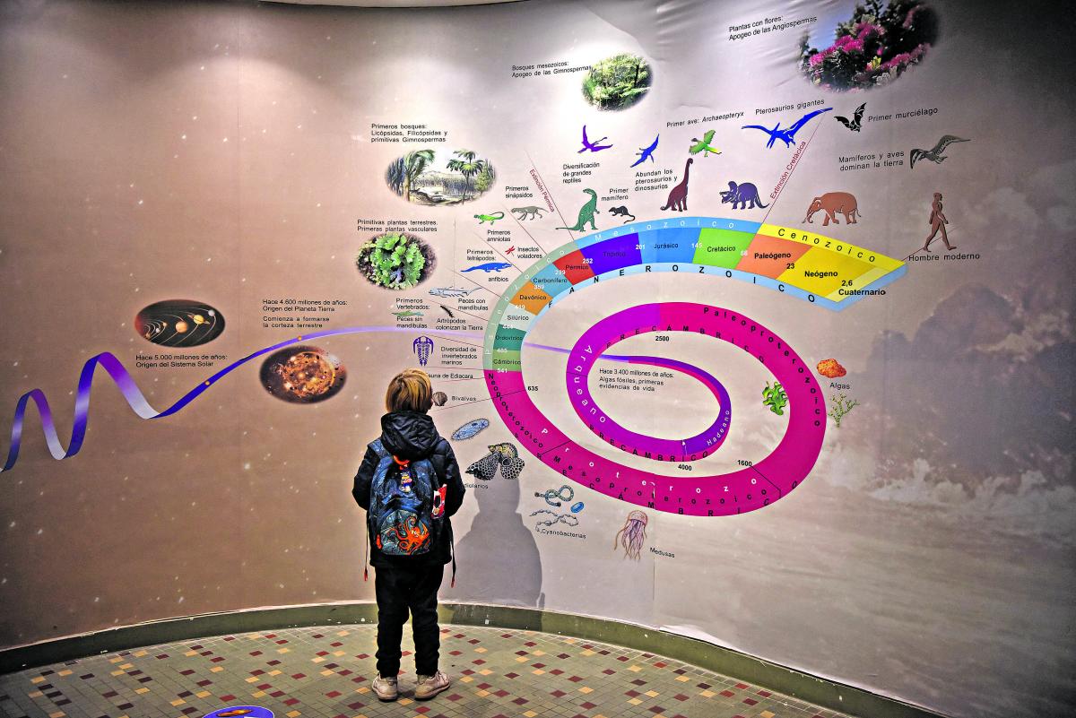 Lo que tenés que saber sobre el Museo Miguel Lillo de Ciencias Naturales