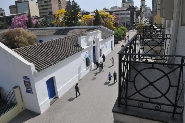 En el Día del Árbol, Tucumán se tiñe de rosado con la floración de los lapachos