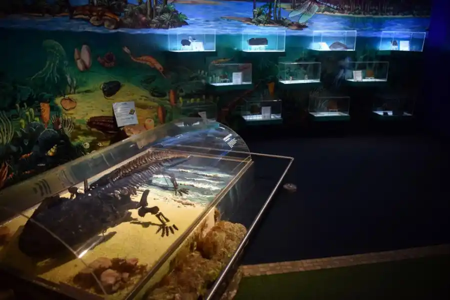 TEMÁTICAS. Una de las salas nos instruye sobre la evolución de la vida en la Tierra. la gaceta / fotos de inés quinteros orio