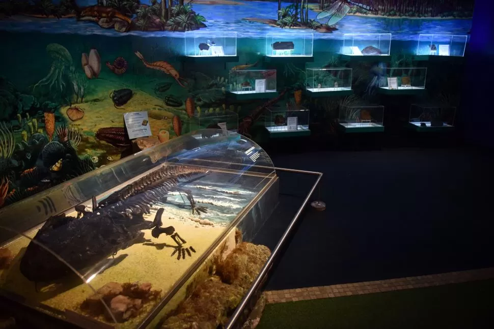 TEMÁTICAS. Una de las salas nos instruye sobre la evolución de la vida en la Tierra. la gaceta / fotos de inés quinteros orio