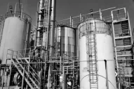 Harinas y biocombustible, todo producido dentro del mismo predio