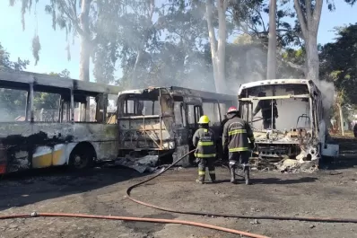 Incendio en el galpón de la Línea 7: varios colectivos fueron consumidos por las llamas