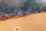 Los sembradíos de Ucrania también son campo de batalla