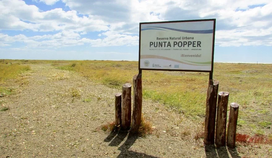 Tierra del Fuego: los cinco mejores lugares para descubrir Río Grande