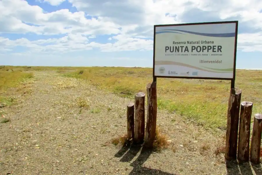 Tierra del Fuego: los cinco mejores lugares para descubrir Río Grande