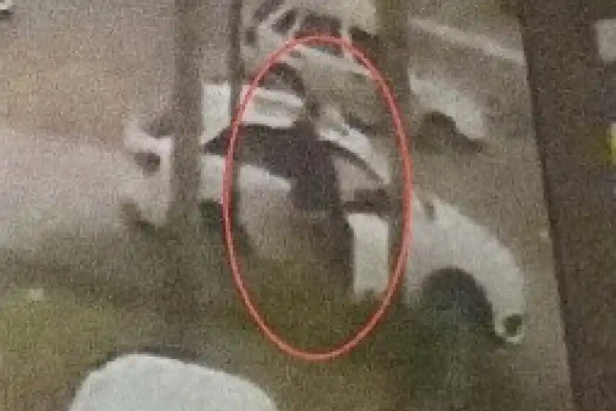 LA VÍCTIMA. Matías Orihuela 