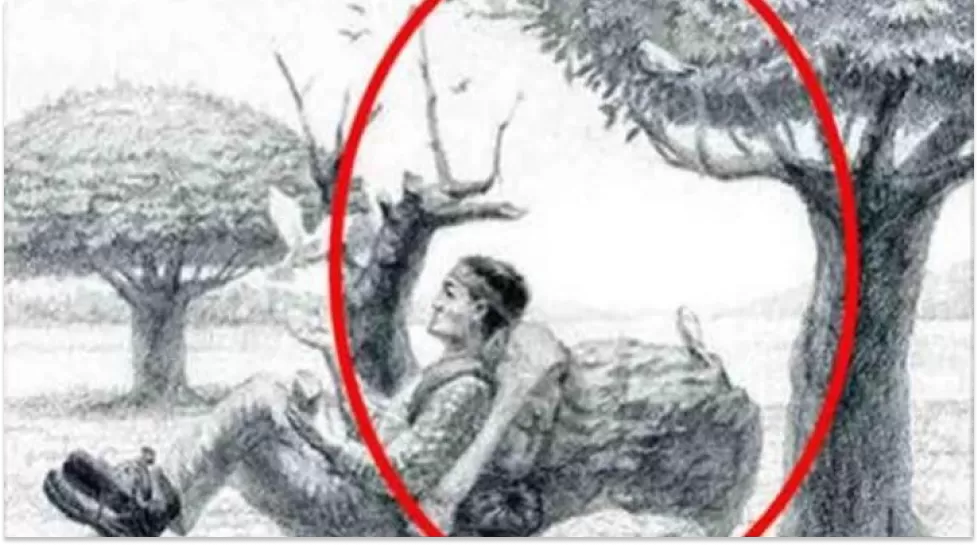 La solución, dentro del círculo rojo.