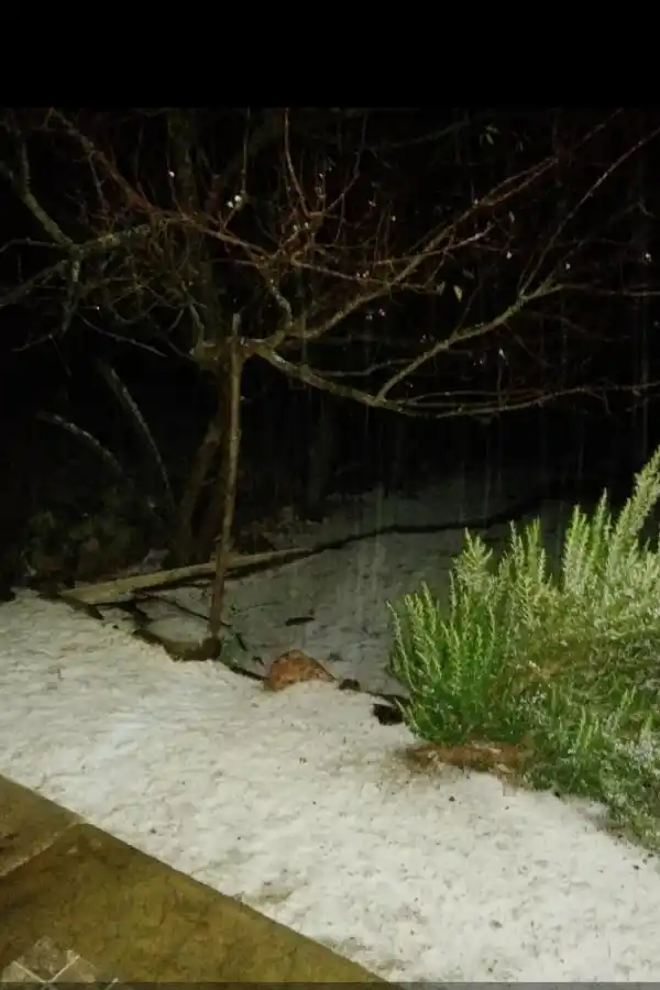 Llegó la nieve a algunas zonas de Tafí del Valle
