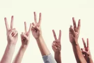 Las mil caras del transformismo peronista