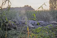 Cayó un avión ucraniano con 11 toneladas de armas