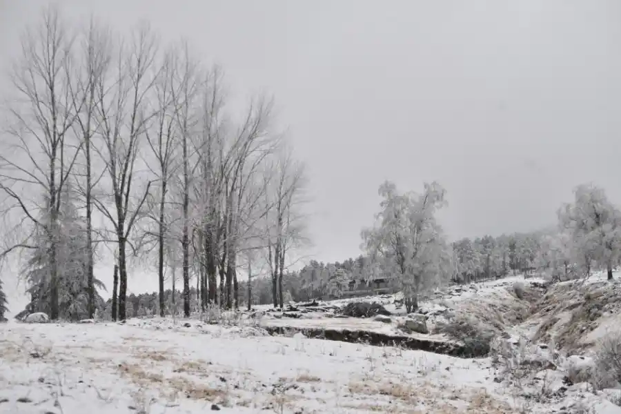 RECUERDO PERECEDERO. Los tempraneros lograron hacer muñecos. la gaceta / fotos de Osvaldo Ripoll