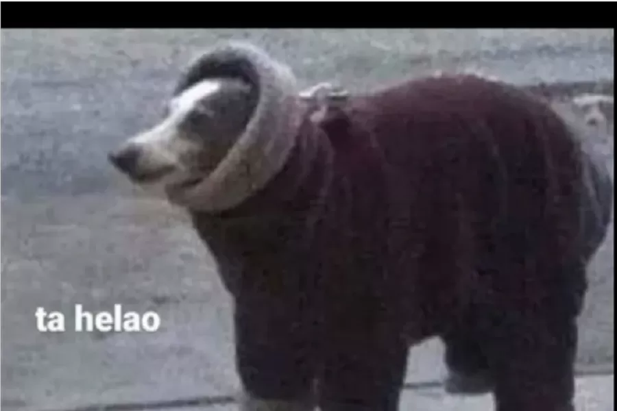 El look del arquero de Atlético Tucumán sigue dando que hablar: mirá los memes