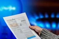 Subsidio de luz y gas: cinco pasos para completar el formulario