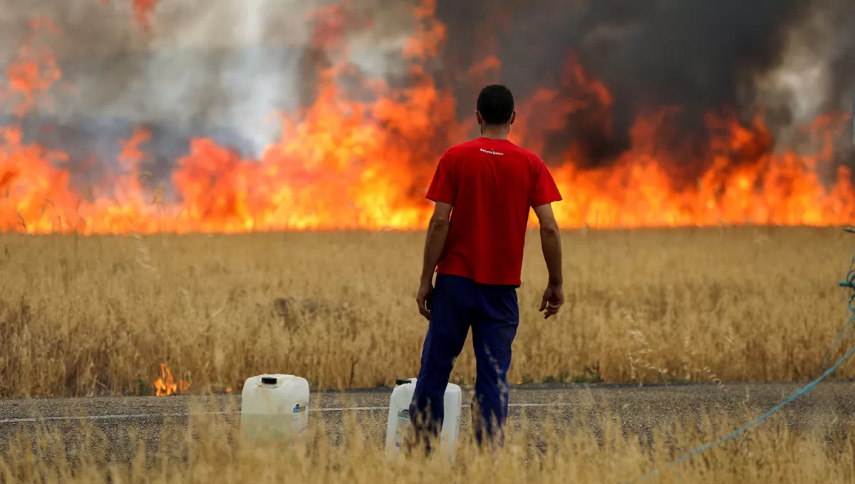 ARDEN LOS CAMPOS . El muro de fuego avanza sobre ell trigo, entre Tabara y Losacio, provincia de Zamora, mientras que bomberos franceses luchan para contener los incendios forestales en Louchats, en la región de Gironda.