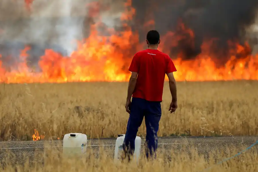 ARDEN LOS CAMPOS . El muro de fuego avanza sobre ell trigo, entre Tabara y Losacio, provincia de Zamora, mientras que bomberos franceses luchan para contener los incendios forestales en Louchats, en la región de Gironda.