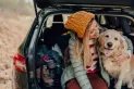 Qué cuidados tenés que tener si viajás con mascotas