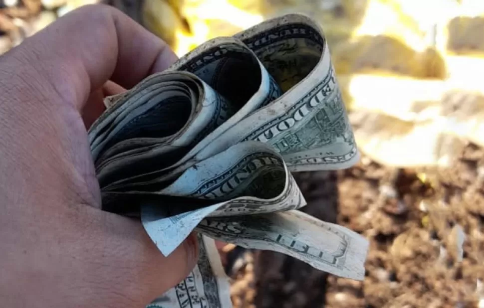 Trabajadores municipales encontraron un tesoro en dólares.