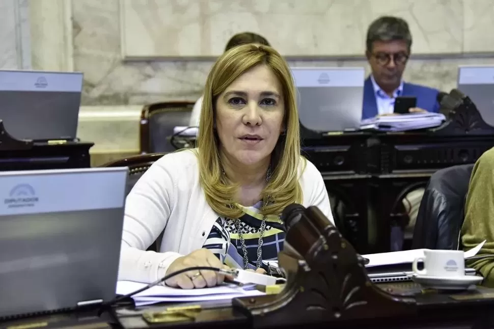 Brote de neumonía en Tucumán: en el Senado, Beatriz Ávila pidió la intervención del Ministerio de Salud de la Nación