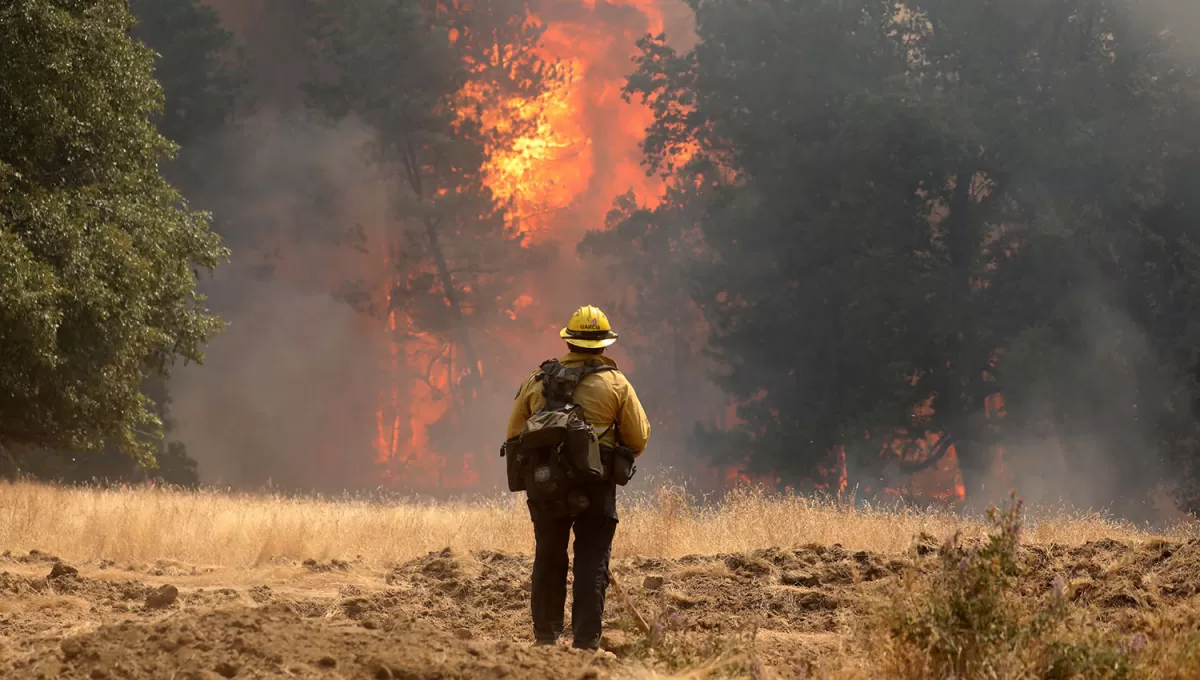 ESTADOS UNIDOS. Los incendios que se registran desde el viernes en California provocó 3.000 evacuados, después de quemar más de 4.500 hectáreas.