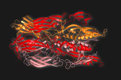 Arrojan luz sobre el origen de la reproducción sexual