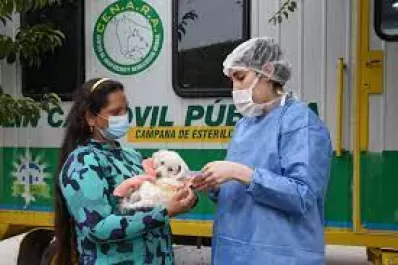 Dónde se puede recibir atención veterinaria gratuita