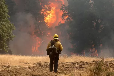 Ola de calor e incendios: emergencia en California