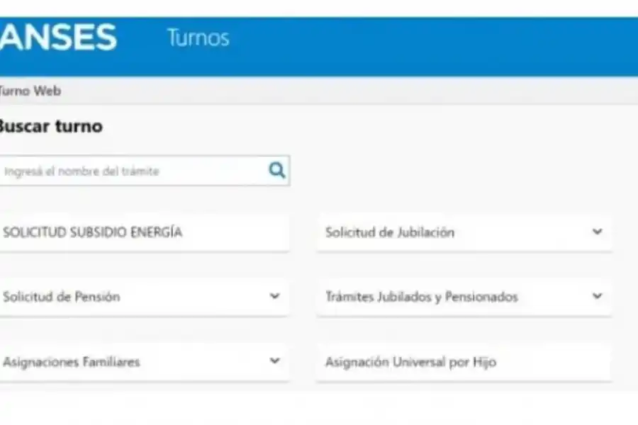 Turno Anses