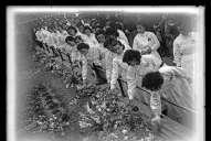 Así vivió Tucumán el luto por la muerte de Eva Perón