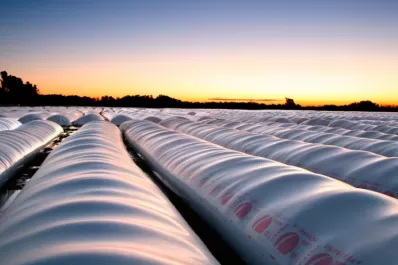 “Presión muy fuerte” para liquidar granos