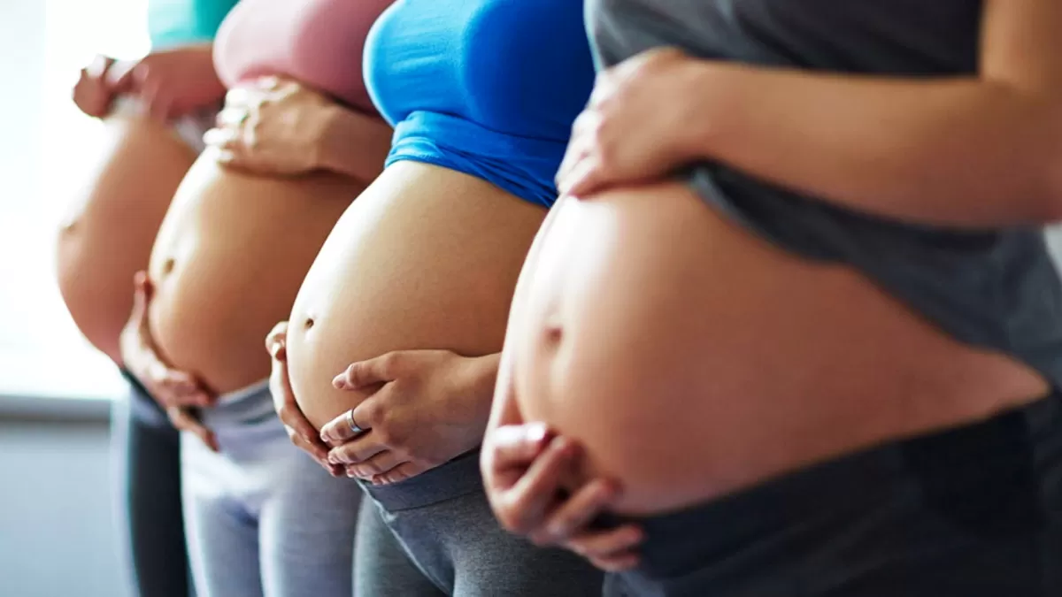 Plan 1.000 Días Anses para embarazadas: qué es y cómo acceder al beneficio